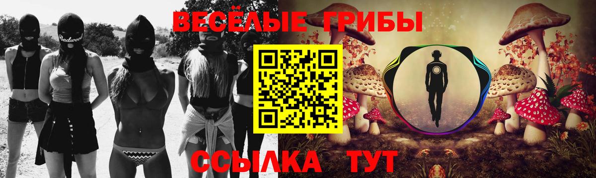 Галлюциногенные грибы Cubensis  Вход с VPN  Кашира 